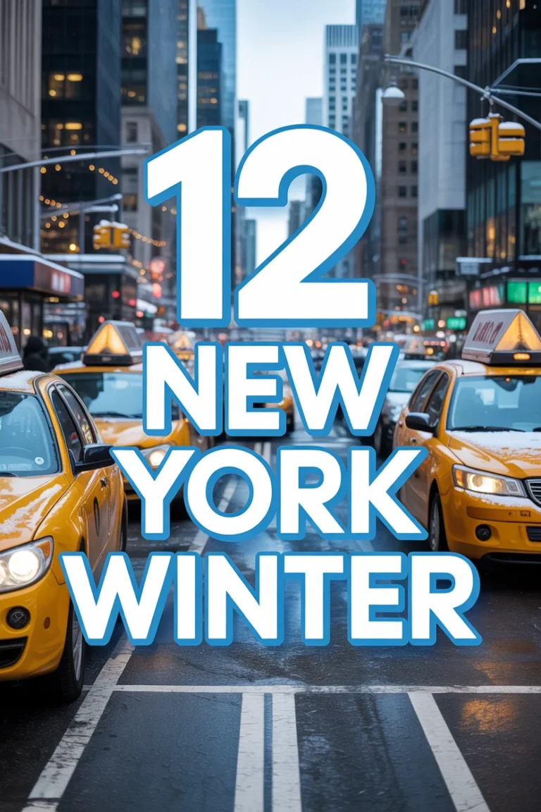 ❄️ 12 New York Winter